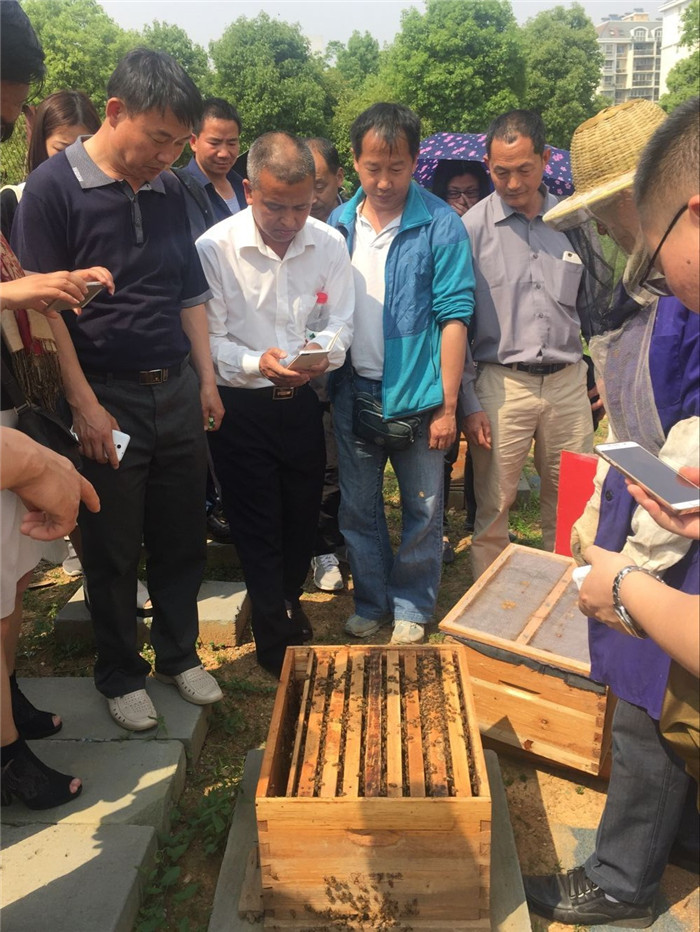 QQ图片20160505165707_副本1.jpg QQ图片20160505165707_副本1.jpg